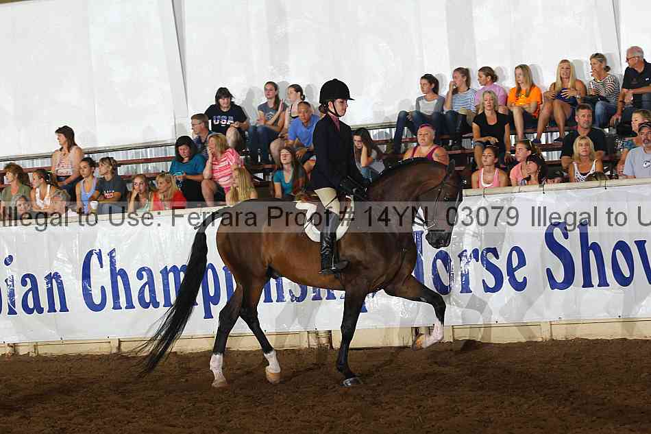 Proof 14yn_03079