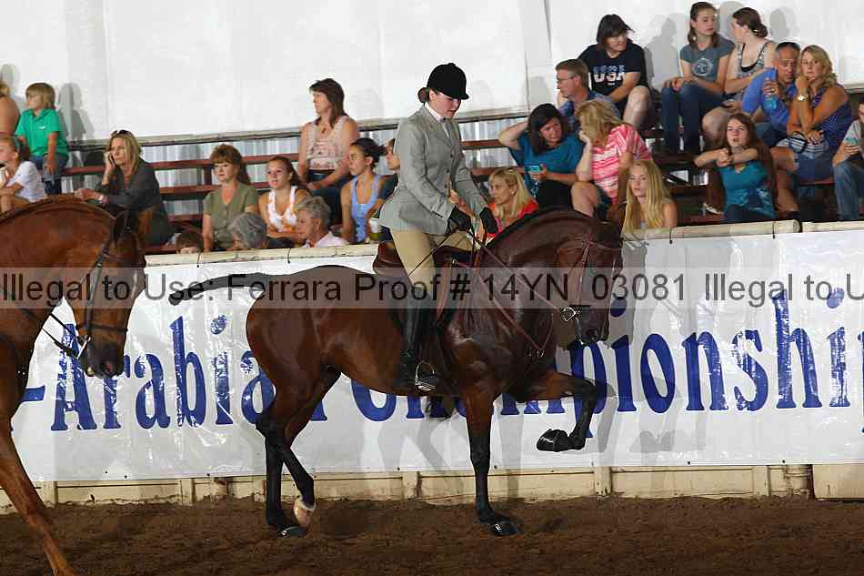 Proof 14yn_03081