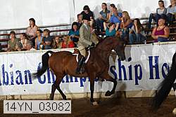 14yn_03082 proof