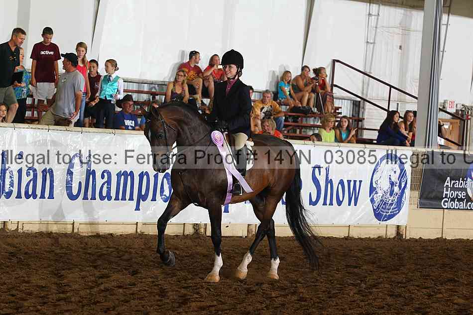 Proof 14yn_03085