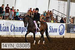 14yn_03085 proof