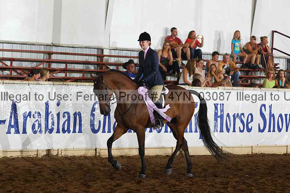 Proof 14yn_03087