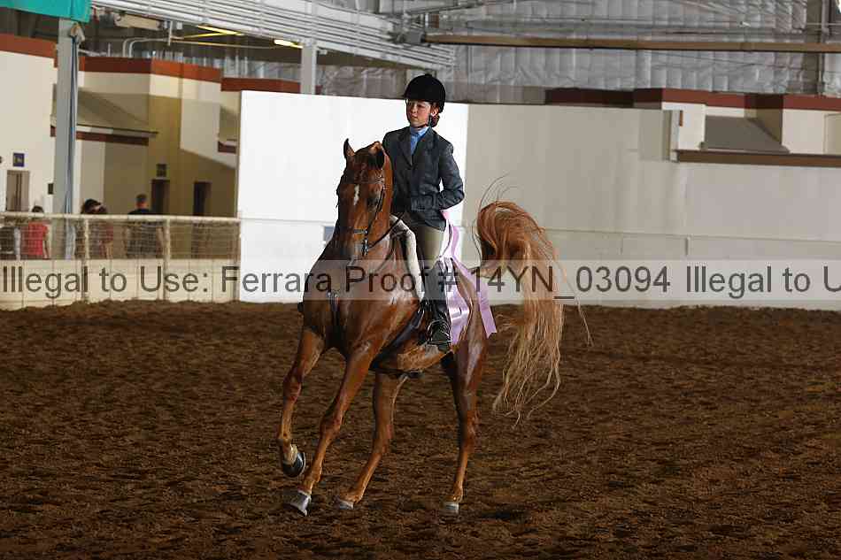 Proof 14yn_03094