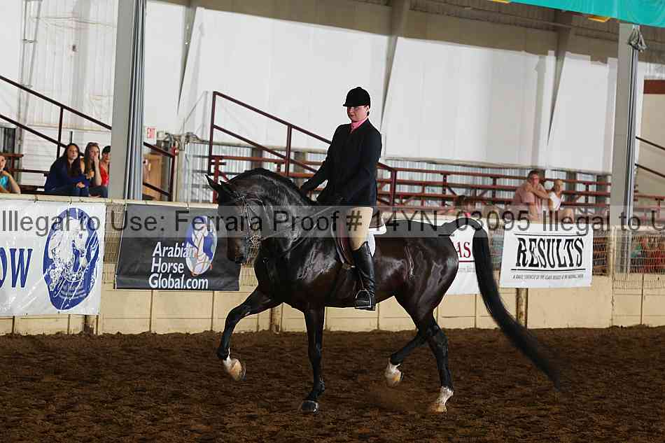 Proof 14yn_03095