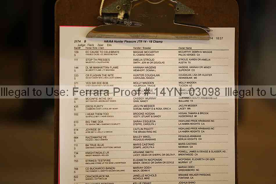 Proof 14yn_03098
