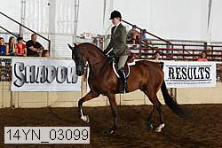 14yn_03099 proof