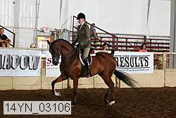 14yn_03106 proof