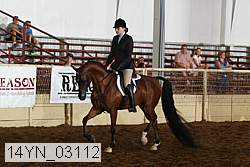 14yn_03112 proof
