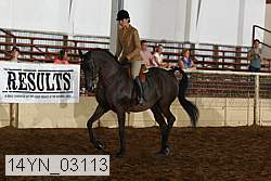 14yn_03113 proof