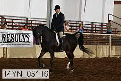 14yn_03116 proof