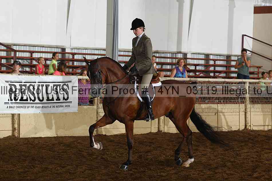 Proof 14yn_03119