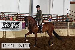 14yn_03119 proof
