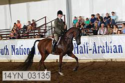 14yn_03135 proof