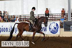 14yn_03136 proof