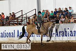 14yn_03137 proof