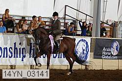 14yn_03141 proof