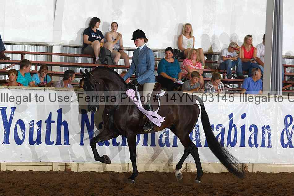 Proof 14yn_03145