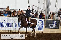 14yn_03146 proof