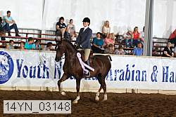 14yn_03148 proof