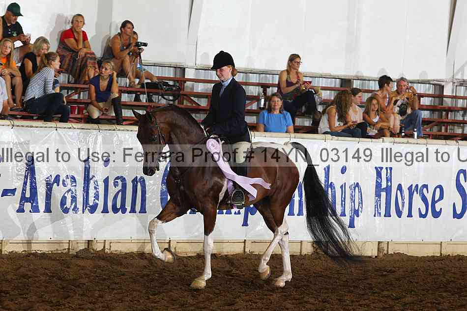 Proof 14yn_03149