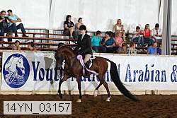 14yn_03157 proof