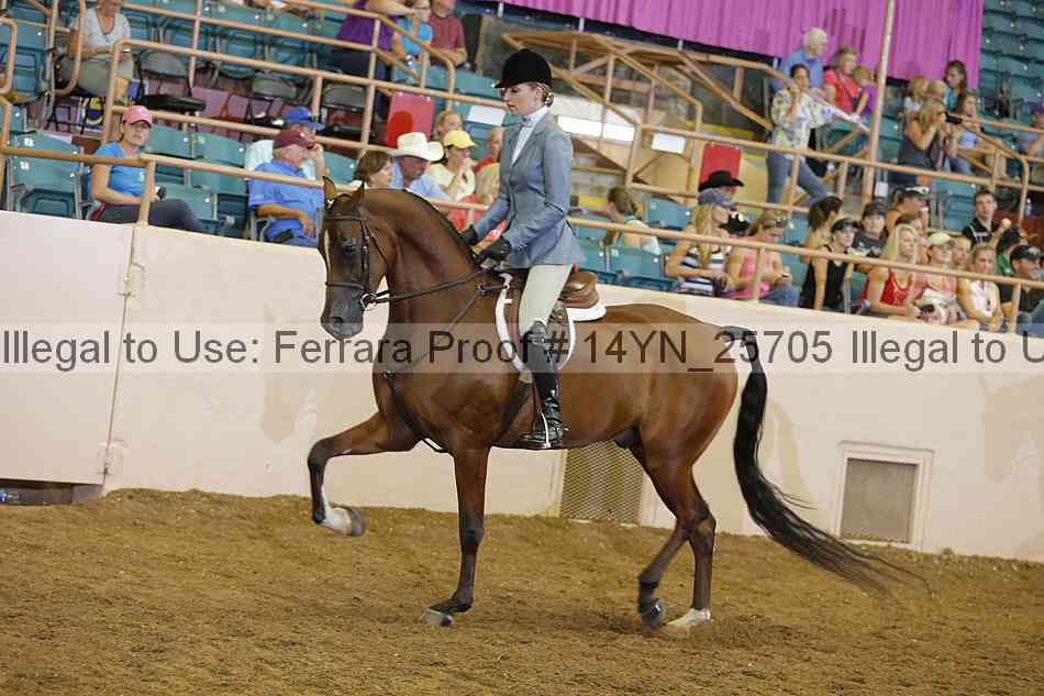 Proof 14yn_25705
