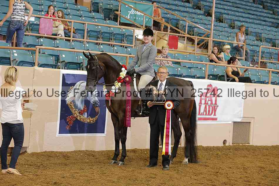 Proof 14yn_25742