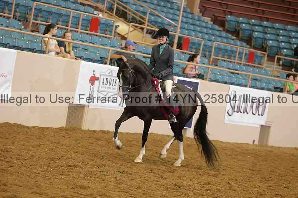 Proof 14yn_25804