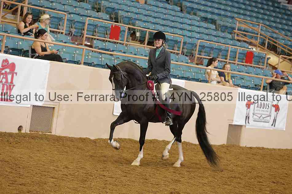 Proof 14yn_25805