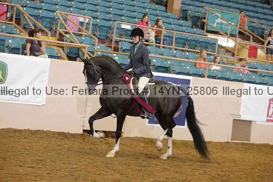Proof 14yn_25806