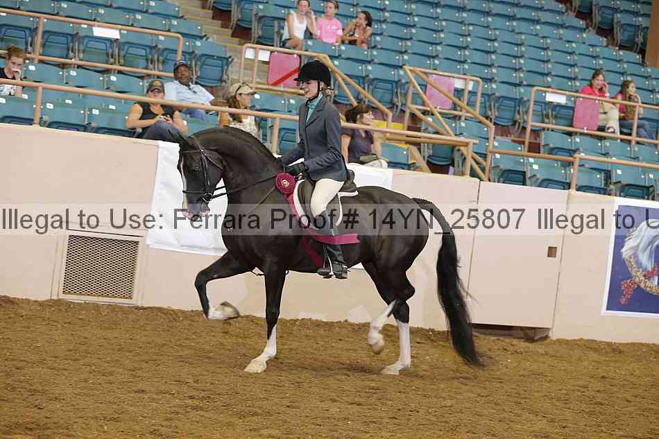 Proof 14yn_25807