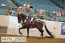 14yn_25836 proof