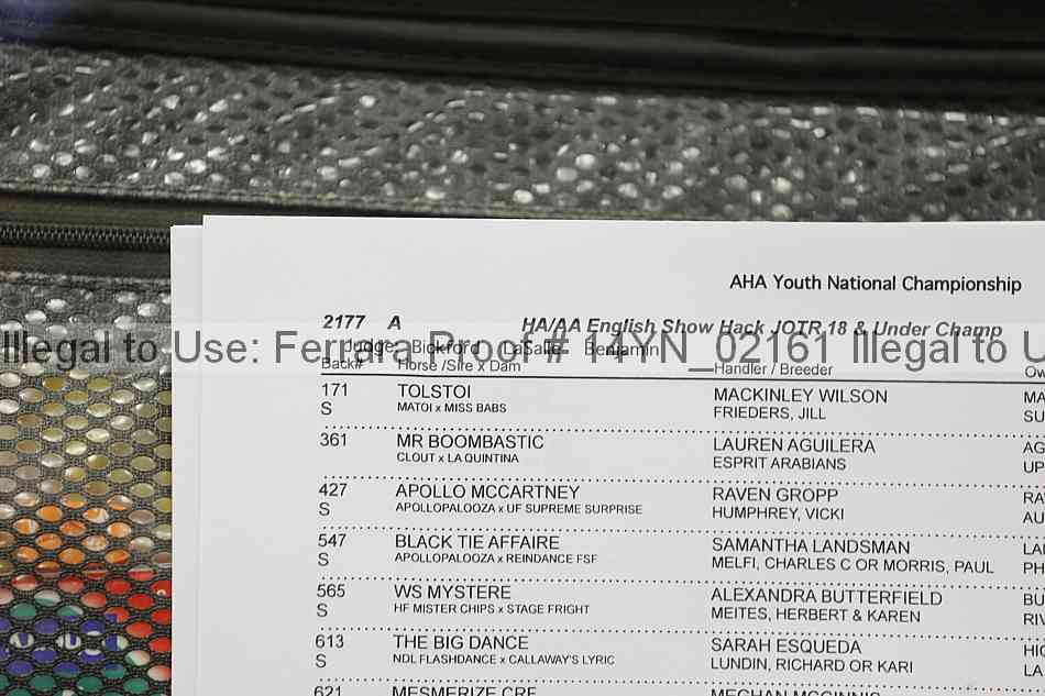 Proof 14yn_02161