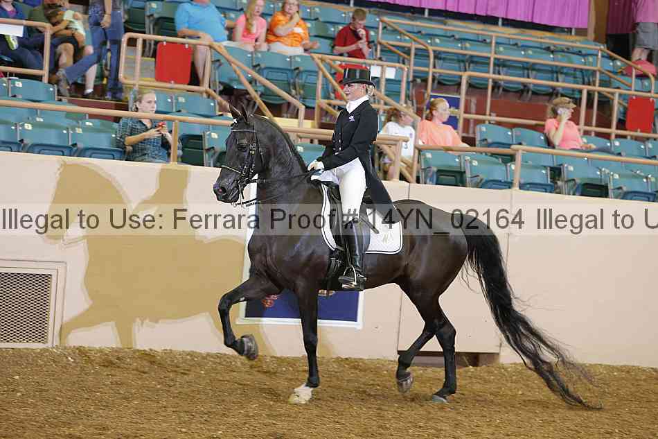 Proof 14yn_02164