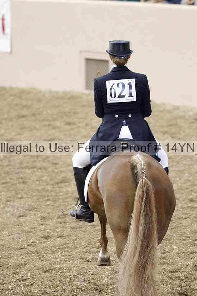 Proof 14yn_02166