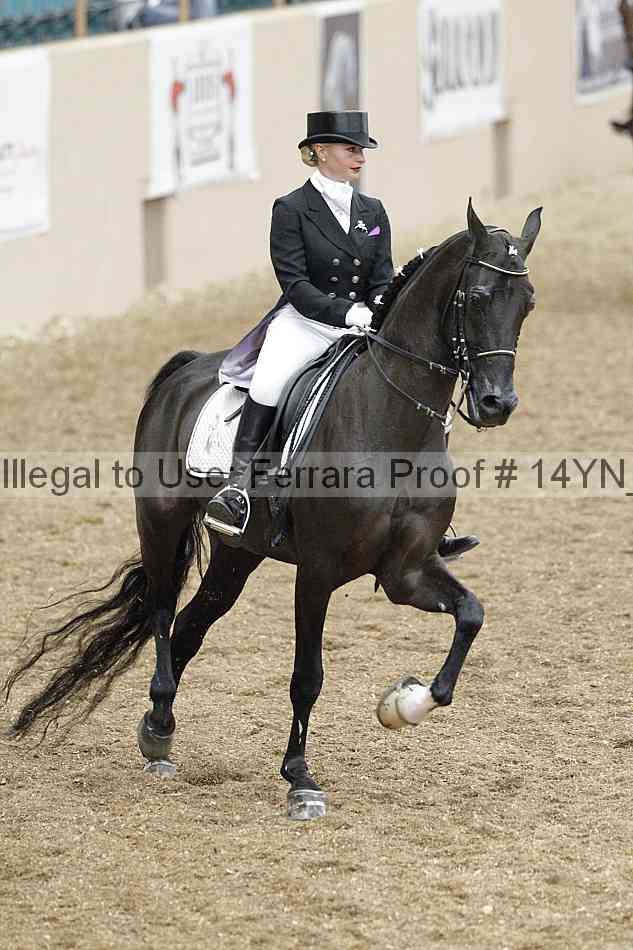 Proof 14yn_02171