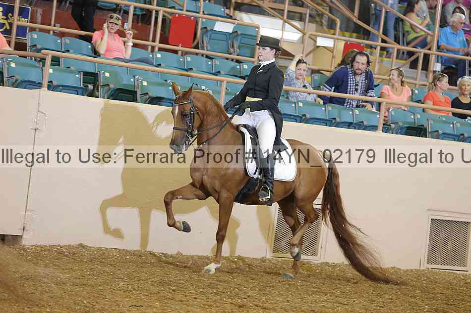 Proof 14yn_02179