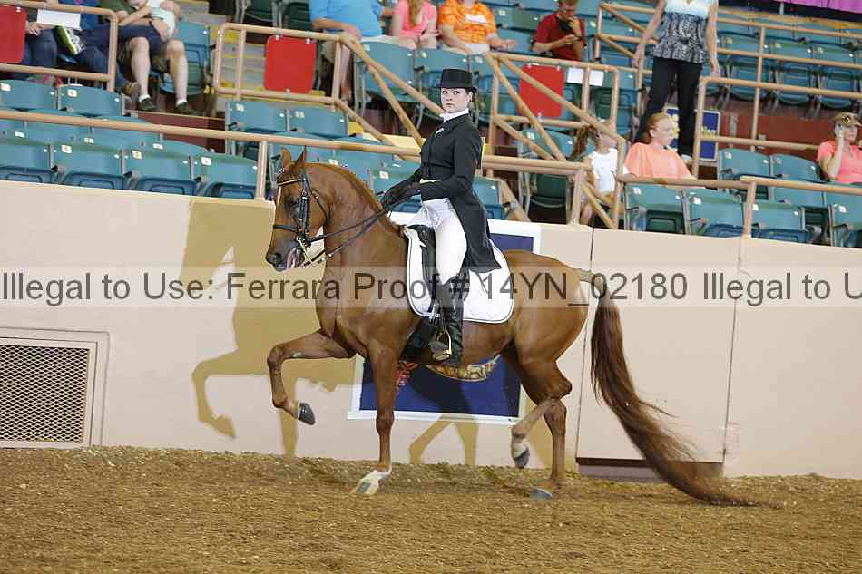 Proof 14yn_02180