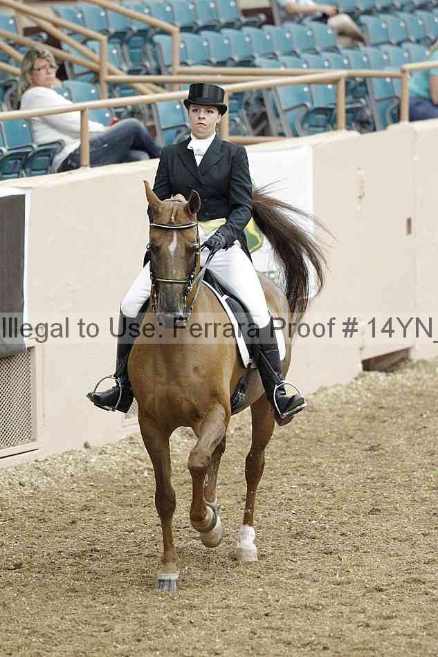 Proof 14yn_02186