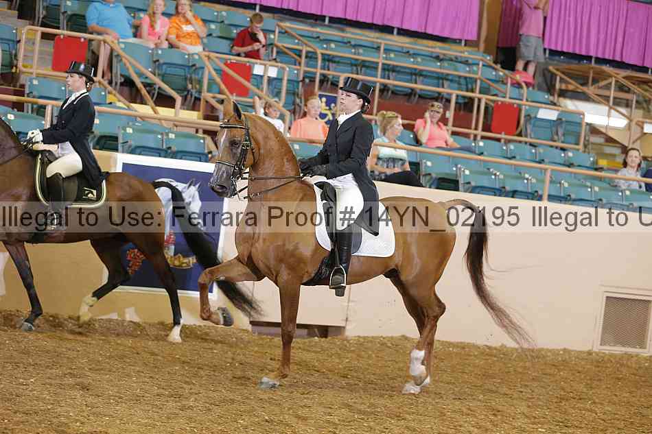 Proof 14yn_02195