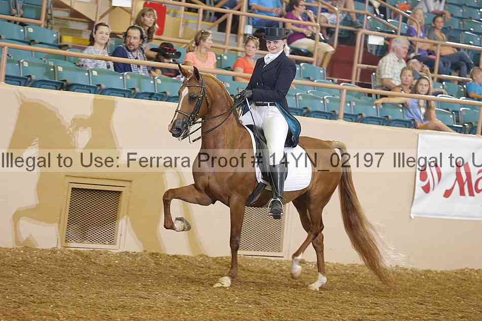 Proof 14yn_02197