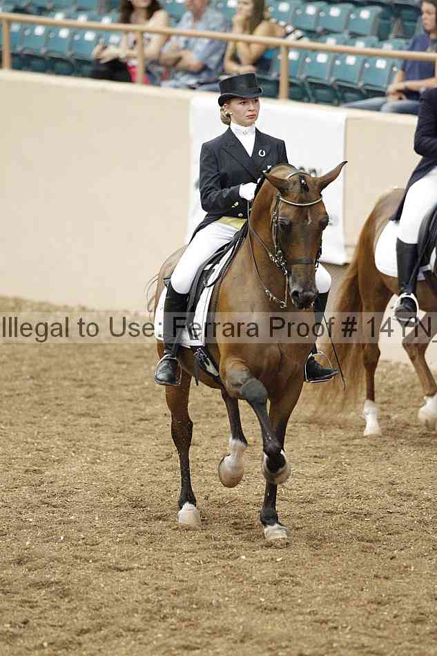 Proof 14yn_02209
