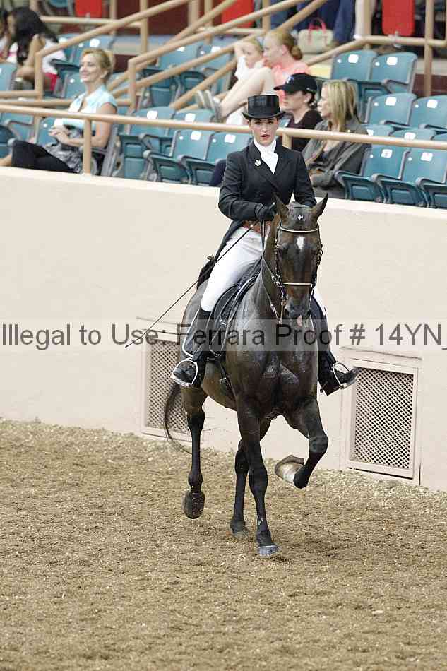 Proof 14yn_02210