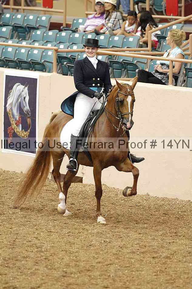 Proof 14yn_02213