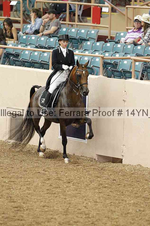 Proof 14yn_02214