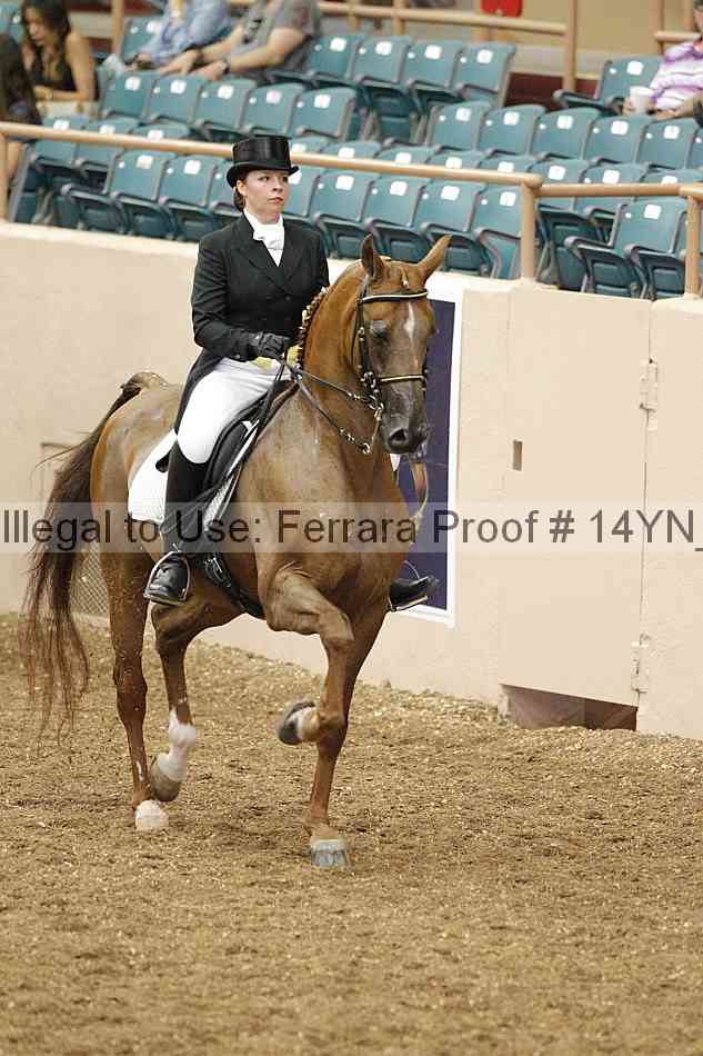 Proof 14yn_02215