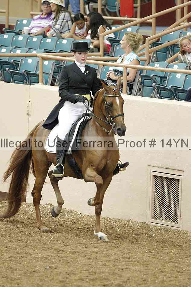 Proof 14yn_02216