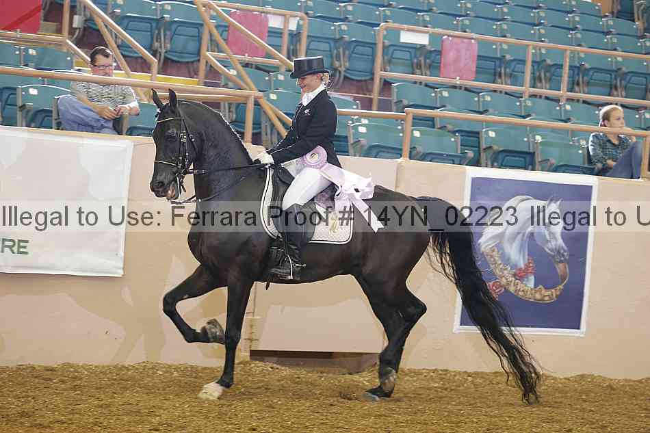 Proof 14yn_02223