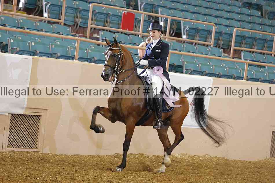 Proof 14yn_02227