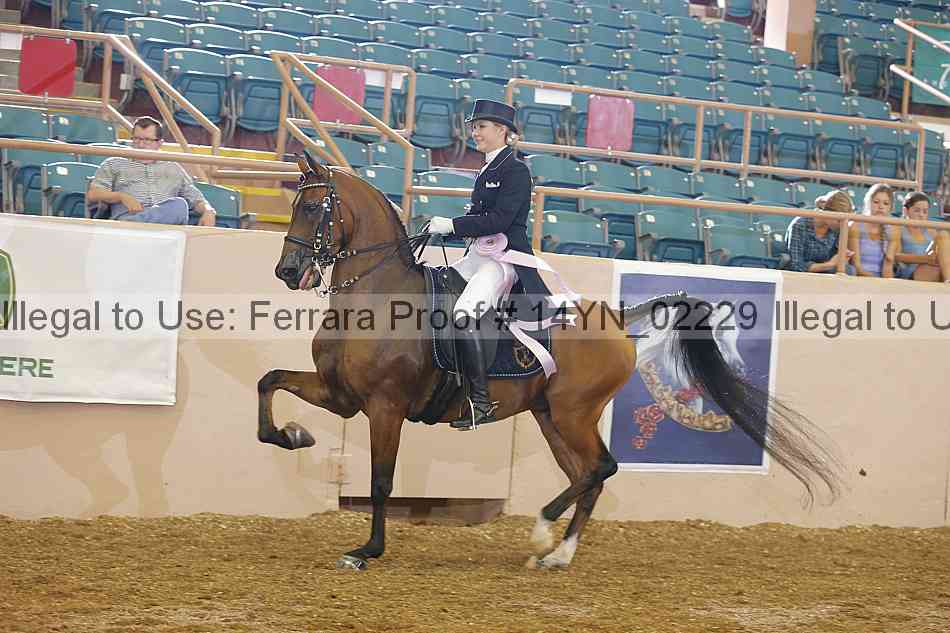 Proof 14yn_02229
